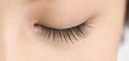natural lashes natural lashes