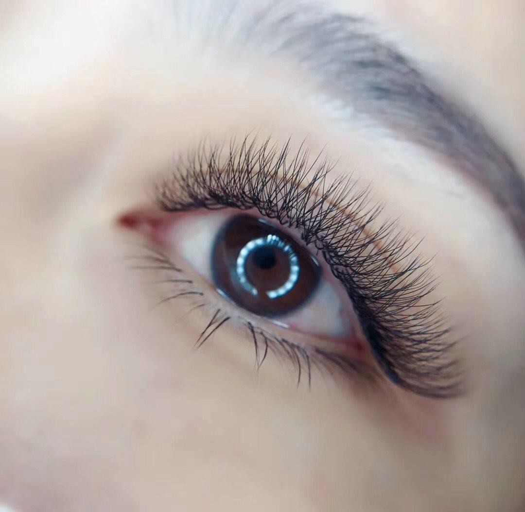 fly eyelashes fly eyelashes