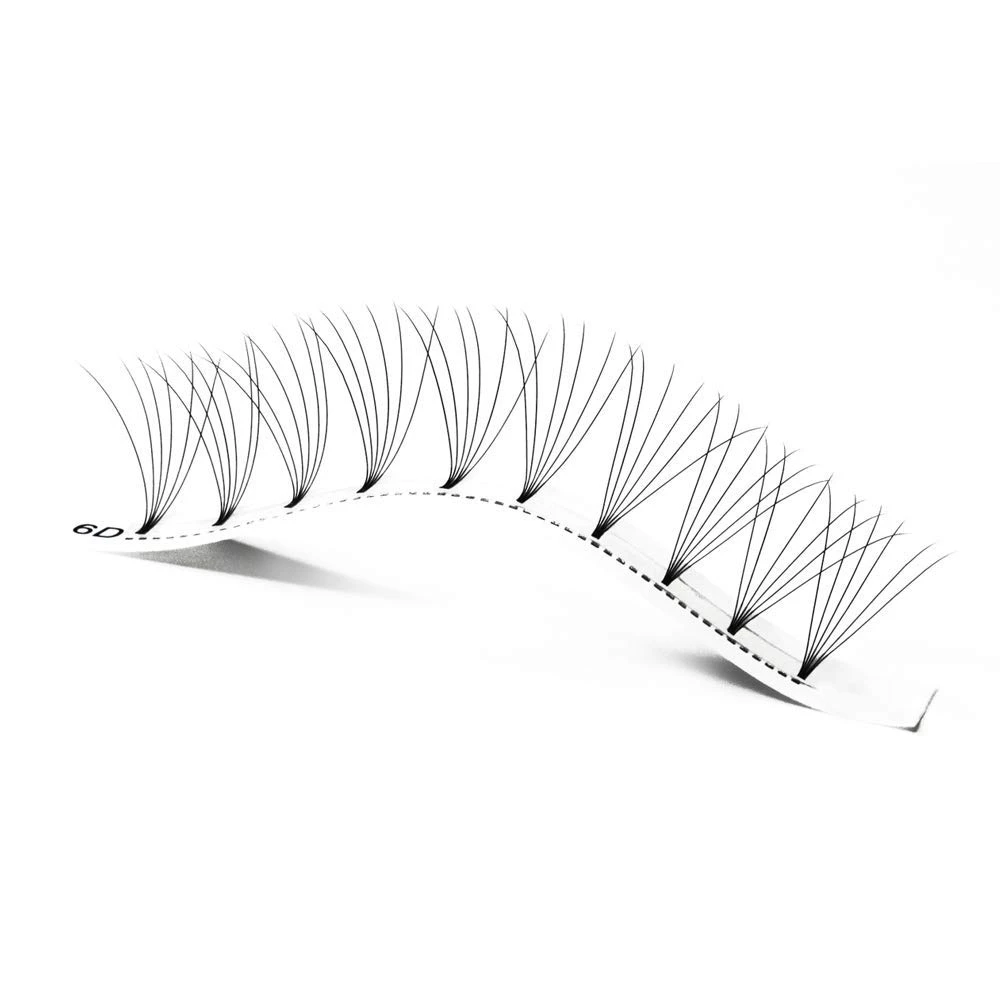 6D pre fans lashes 6D pre fans lashes