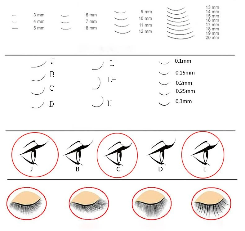 CURL lashes