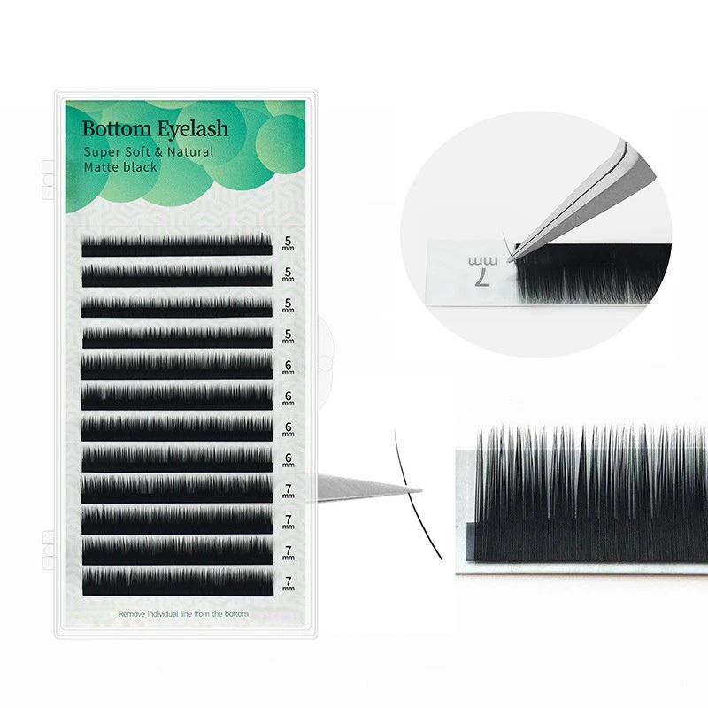 bottom lash