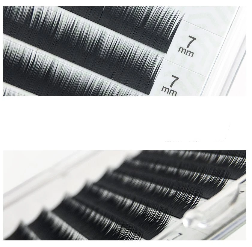 bottom lash extension