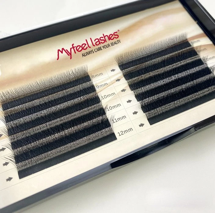 lash extension lash extension
