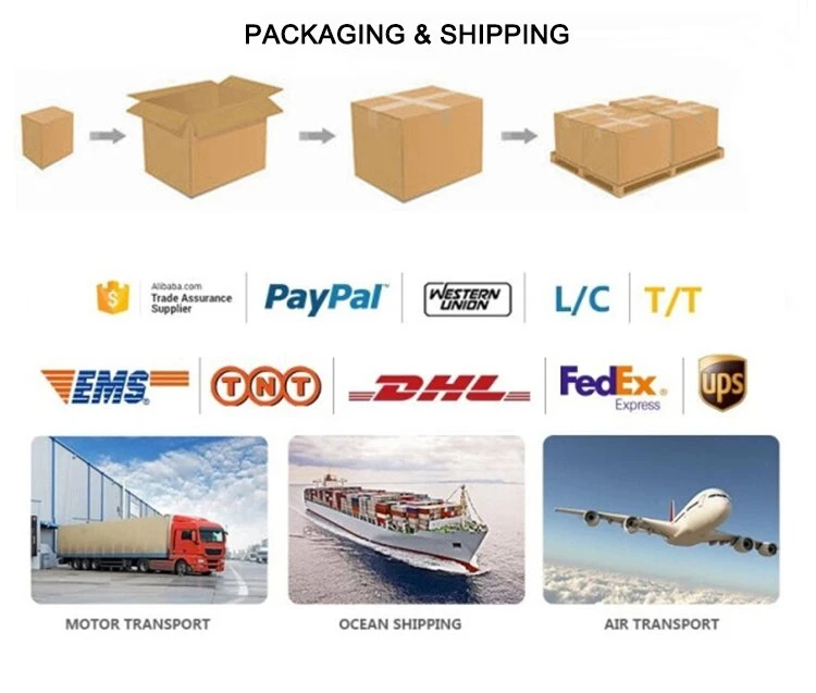 shipping